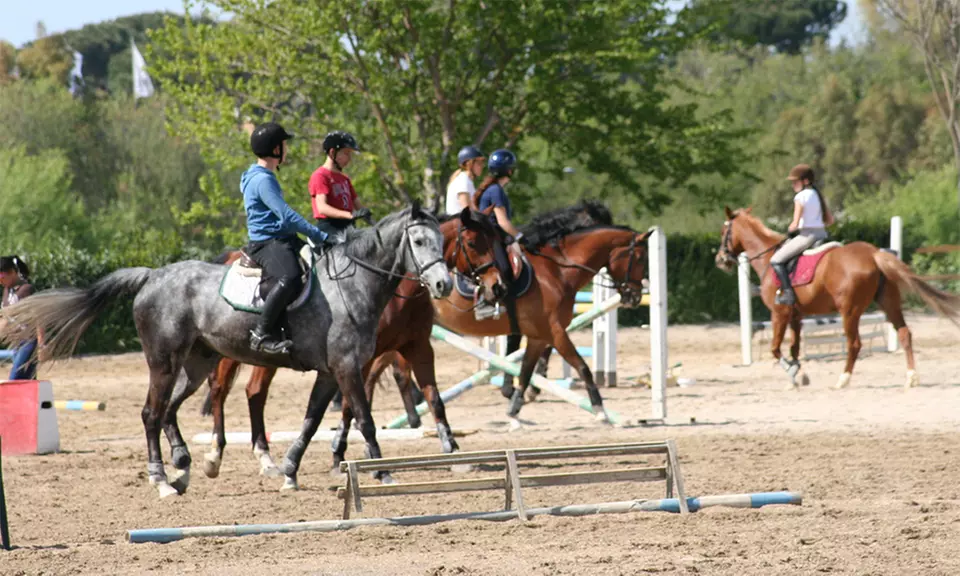 4 lezioni equitazione