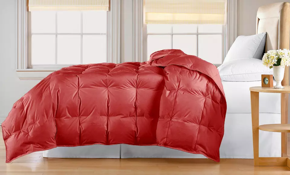 $59.99 for All Cotton Down-Blend Comforter. Multiple Styles. Free Shipping and Returns. - Second Medium