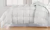Blue Ridge Home Fashions Microfiber Comforter