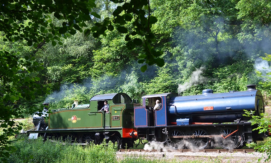 Image 4: Steam or Diesel Train Ride £7.50