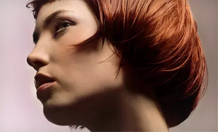 Haircut and Conditioning with Optional Root Touch-Up or Root Touch-Up Package at Artisan Hair & Spa (Up to 85% Off) - Primary Image