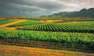 Hunter Valley: Scenic Escape with Wine