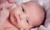 Photo Shoot, Digital Images, and Collage with Option for 24 Prints from Casie Price Photography & Design (Up to 56% Off)