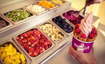 $5 for $10 Worth of Frozen Yogurt at Menchie’s - Primary Image