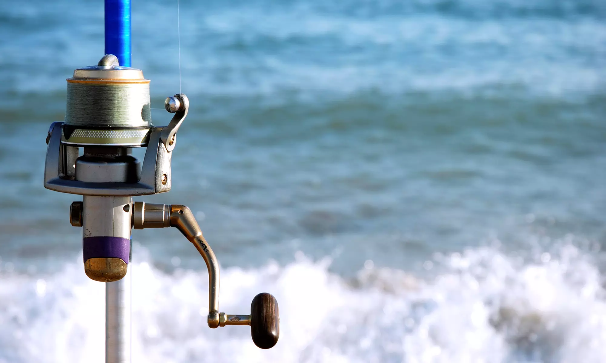 Four-Hour Fishing Trip for Up to Two from Get The Net Fishing Charters (Up to 11% Off) - Primary Image