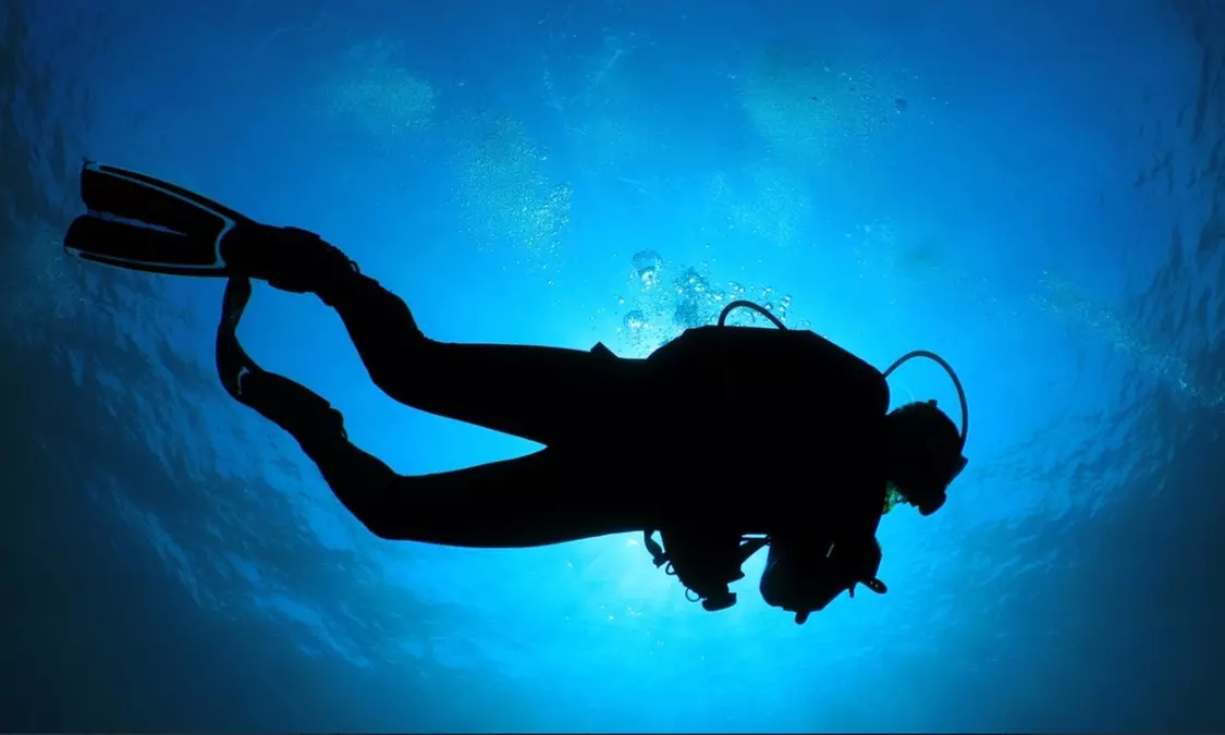 Bautismo de buceo para 1 persona con snacks y snorkel