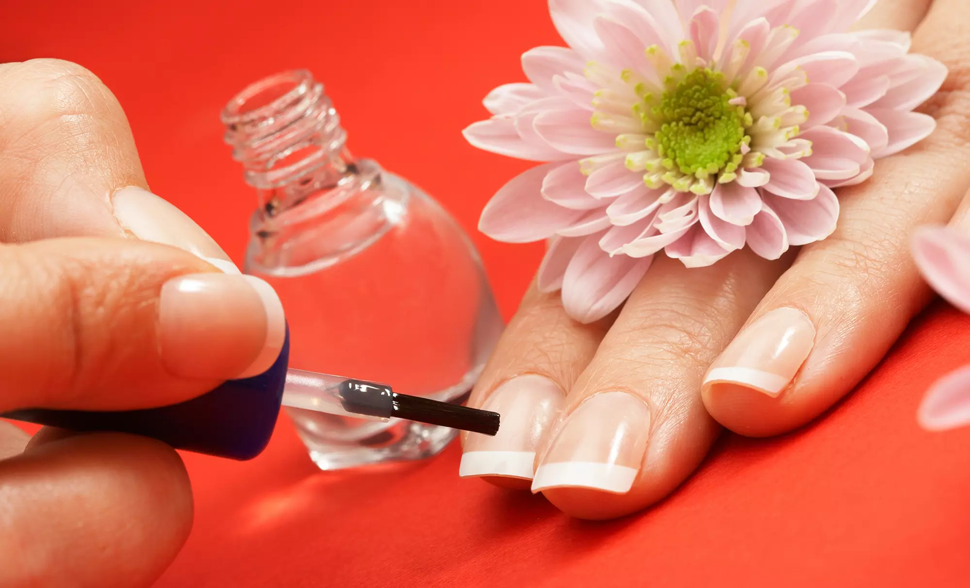 One or Two Groupons, Each Good for One No-Chip Manicure at Empress Nails II (Up to 46% Off) - Primary Image