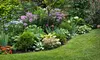 Four Weekly Mowing Visits and Landscape Tune Up or Irrigation Winterizing from WaterSMART Solutions (Up to 57% Off)