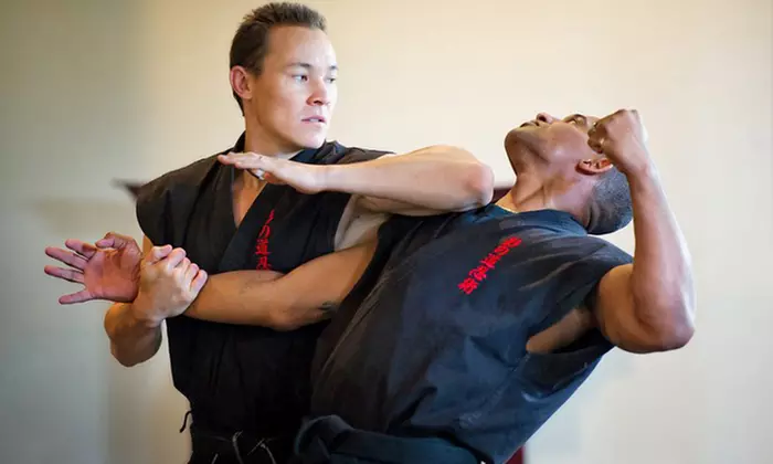 Experience Ninjutsu Classes at The Way Of The Shadow Martial Arts Academy with options for one or three months, up to 50% off - Primary Image