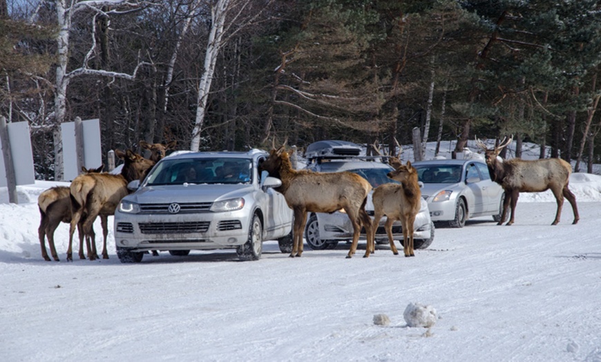 Image 3: Omega Animal Park