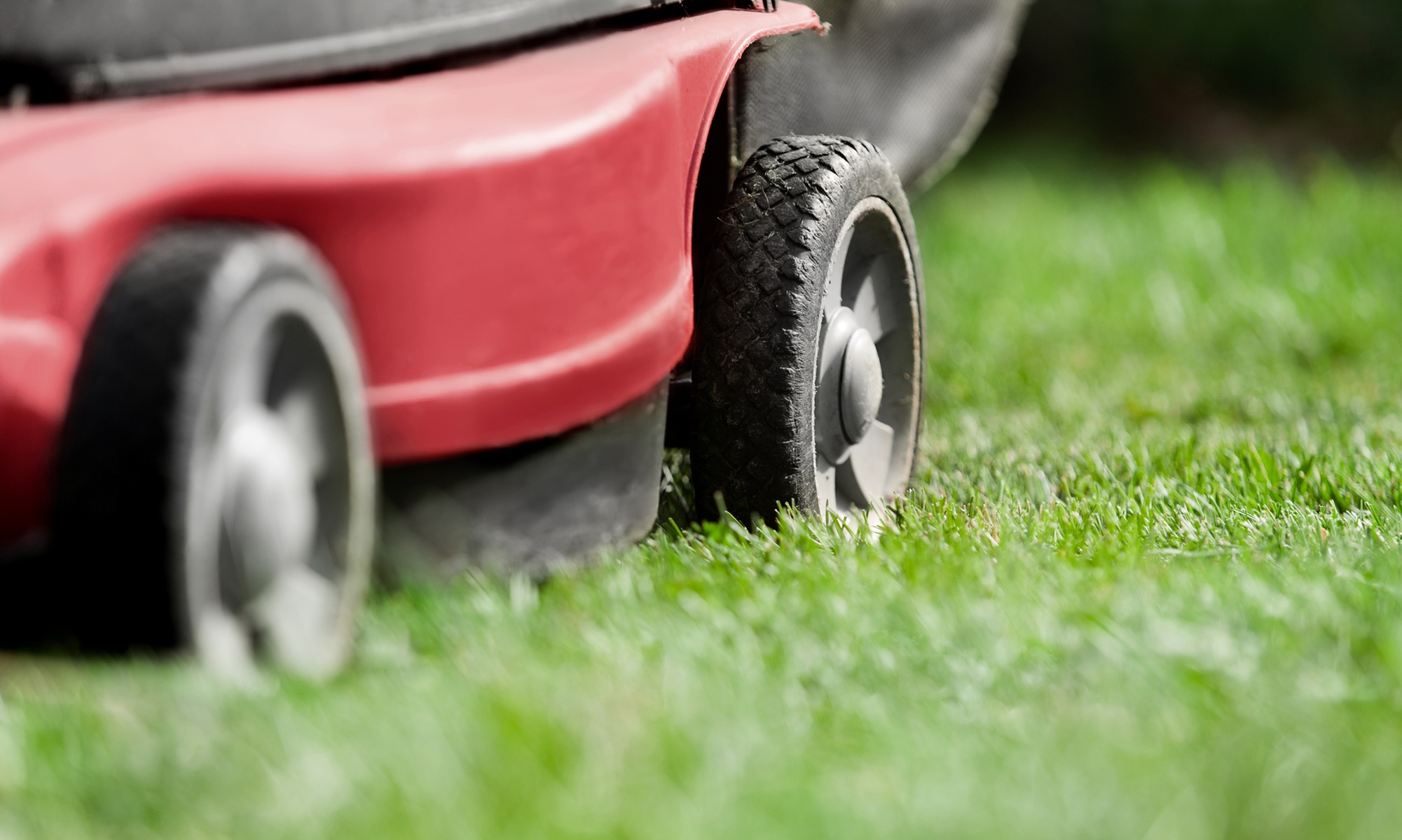 Full Front and Back Lawn Mowing with Trim and Edge Service