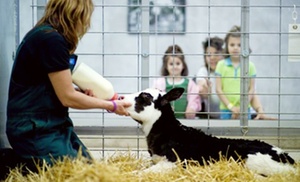 Up to 54% Off Dairy Tour at Fair Oaks Farms 