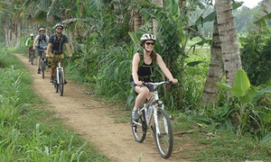 Bali: Cycle Day Tour