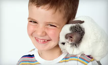 Six-Week, Hands-On Animal Class for One Child Aged 2–5 or 5–10 at Pawsitively Pets For Kids (52% Off) - Primary Image