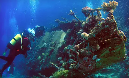 Discovery Dive or Scuba PADI Certification Course at Learn Scuba Chicago (Up to 51% Off) - Primary Image
