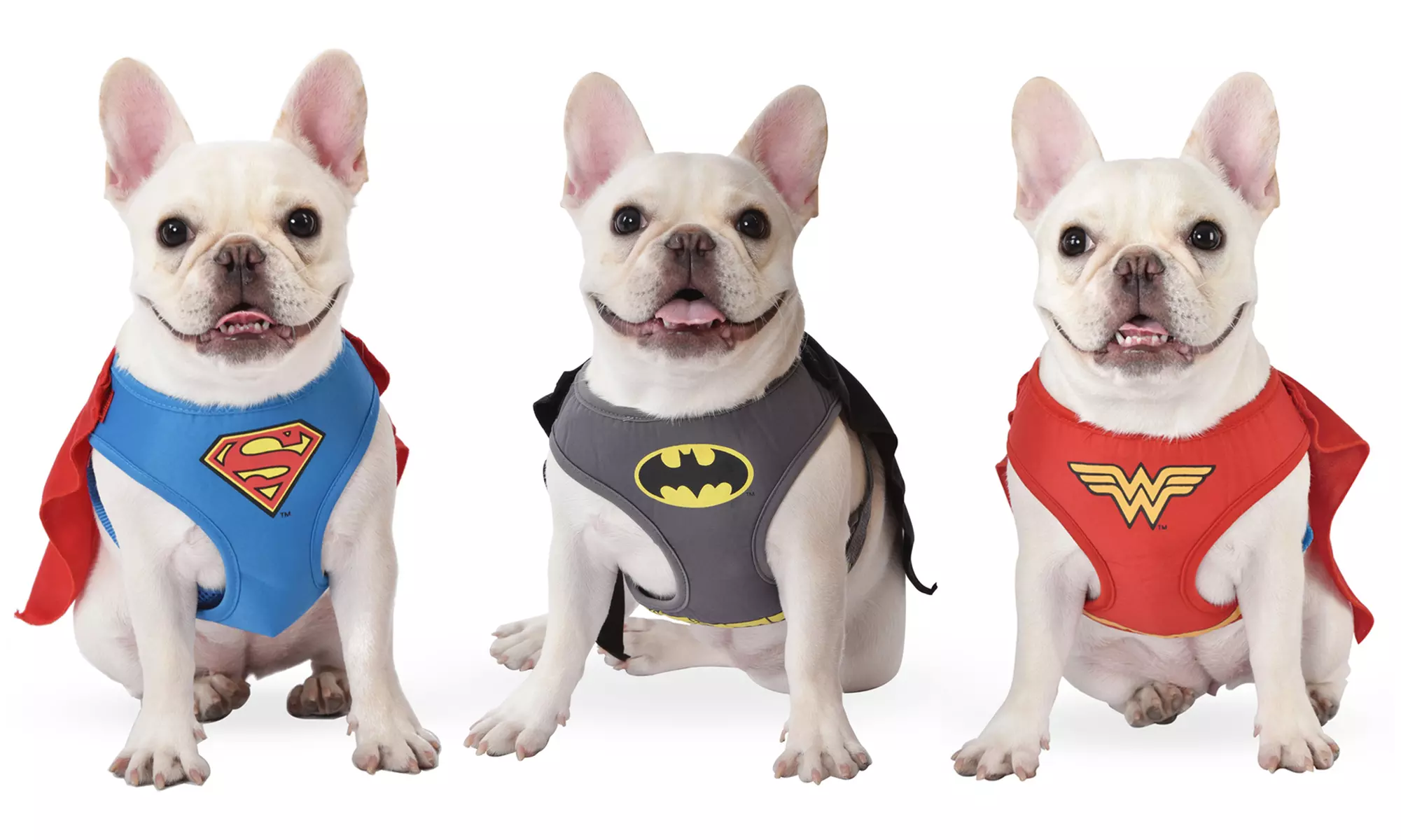 DC Comics Batman/Superman/Wonder Woman Pet Harness with Cape - Primary Image