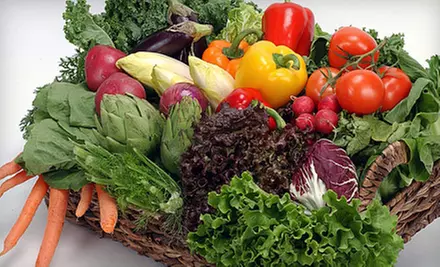 $25 for an All American Garden Kit with Two Indoor Greenhouses and 25 Seed Packets from American Meadows ($49.99 Value) - Primary Image