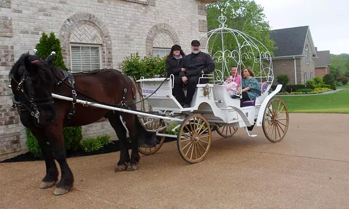 $35 for a Private Downtown Carriage Ride for Up to Six from Sugar Creek Carriages ($70 Value) - Primary Image