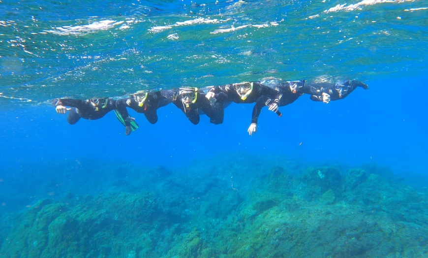 Image 4: Experiencia de snorkel con equipamiento y fotos para 1, 2 o 4 personas