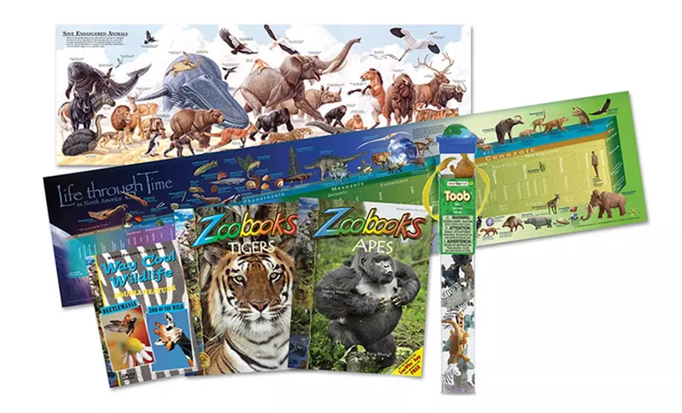 Zoobooks or Zootles Wild Action Educational Set with 2 Bonus Books - Primary Image