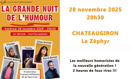 1 place pour "la grande nuit de l'humour" Le 28 novembre 2025 à 20h30 - Coeur de Scène Productions : la grande nuit de l'humour, Châteaugiron