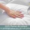 Image 6: Couette 100 % plumes de canard, 500 g/m² Sampur