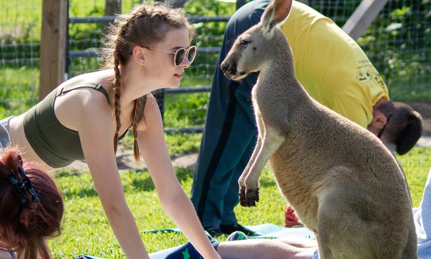 Image 1: Encounter Tour, Sippin' with Sloths, or Kangaroo Yoga at Coastal Wilds