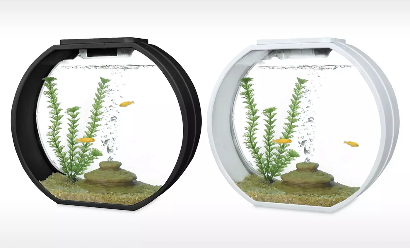 Deco O Mini or Large Aquarium - Primary Image