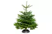 Sapin de Noël Nordmann, dimension au choix 140-150 cm et 160-170 cm - Second Medium