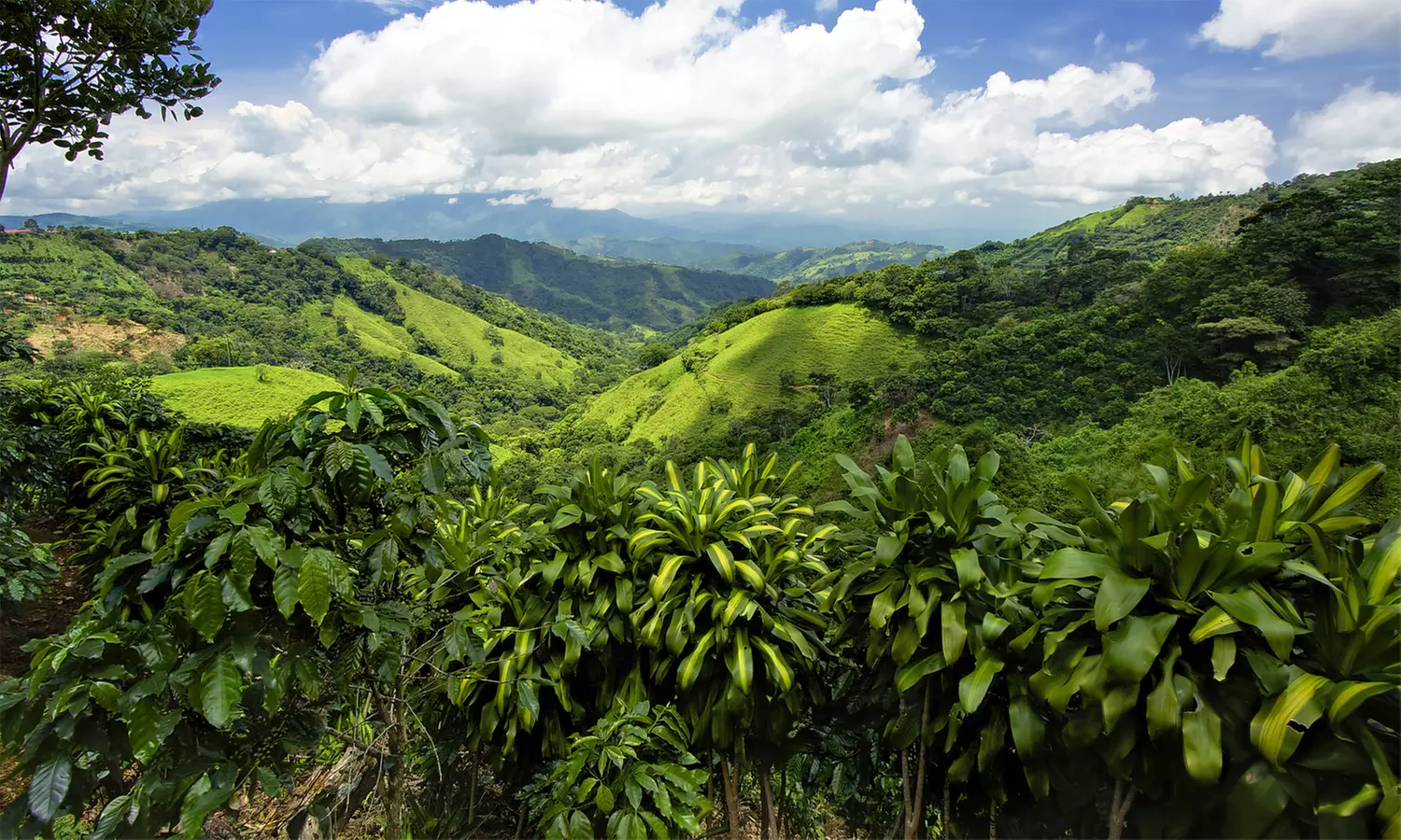 Costa Rica Tour. Price is per Person, Based on Two Guests per Room. Buy One Voucher per Person. - Primary Image