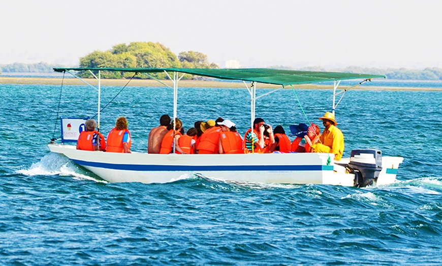 Stay with Crab hunting safari - Flamingo Beach Resort | Groupon