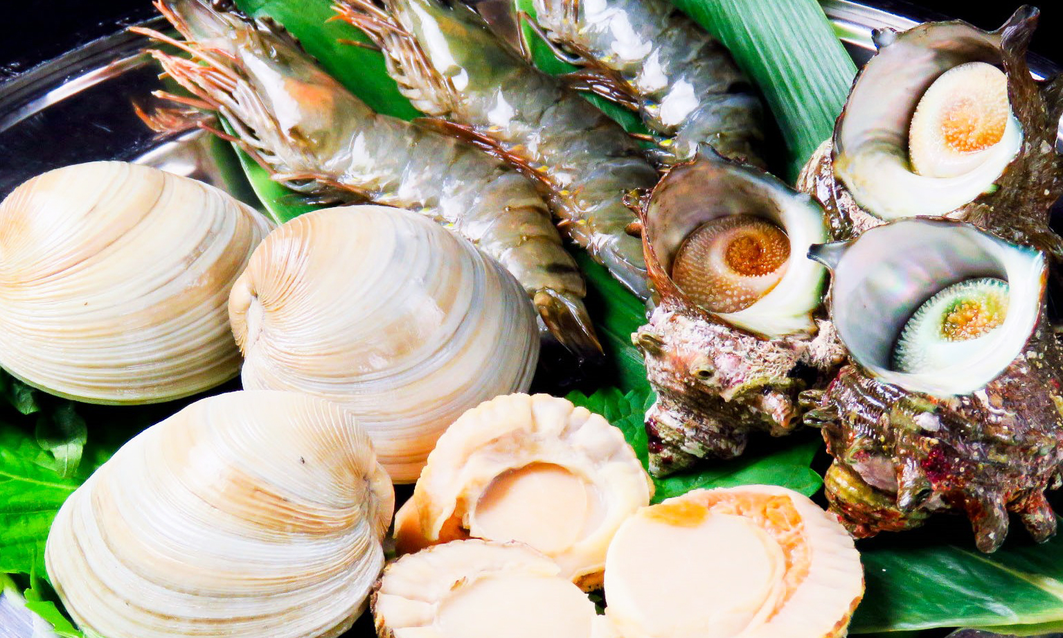 クーポン共同購入サイトのクーポンをまとめて比較 クーポンサイトjp