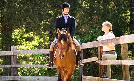 $79 for Four 60-Minute Horseback-Riding Lessons at Vector Equestrian ($158.20 Value) - Primary Image