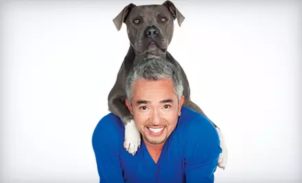 $37 to See Cesar Millan Live at General Motors Centre on Saturday, November 24, at 7:30 p.m. (Up to $75.25 Value) - Primary Image