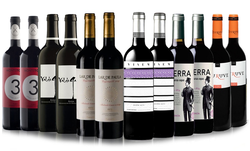 Image 1: 12-Bottle Spanish Red Wine Collection