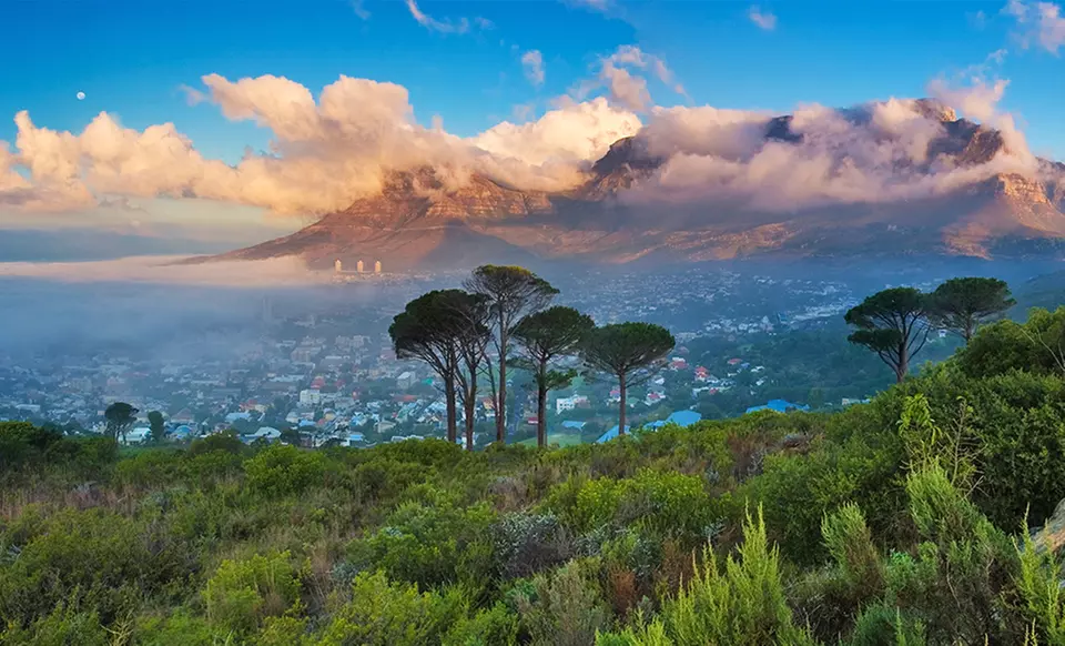 ✈ 9-Day South Africa Tour with Air & 4-Star Hotels from Great Value Vacations. Price/Person Based on Double Occupancy. - Primary Image