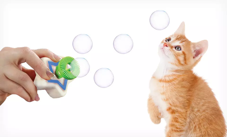 Up to 55% Off Cosmic Catnip Bubbles or Shooting Star Bubble Blaster. Free Returns. - Primary Image