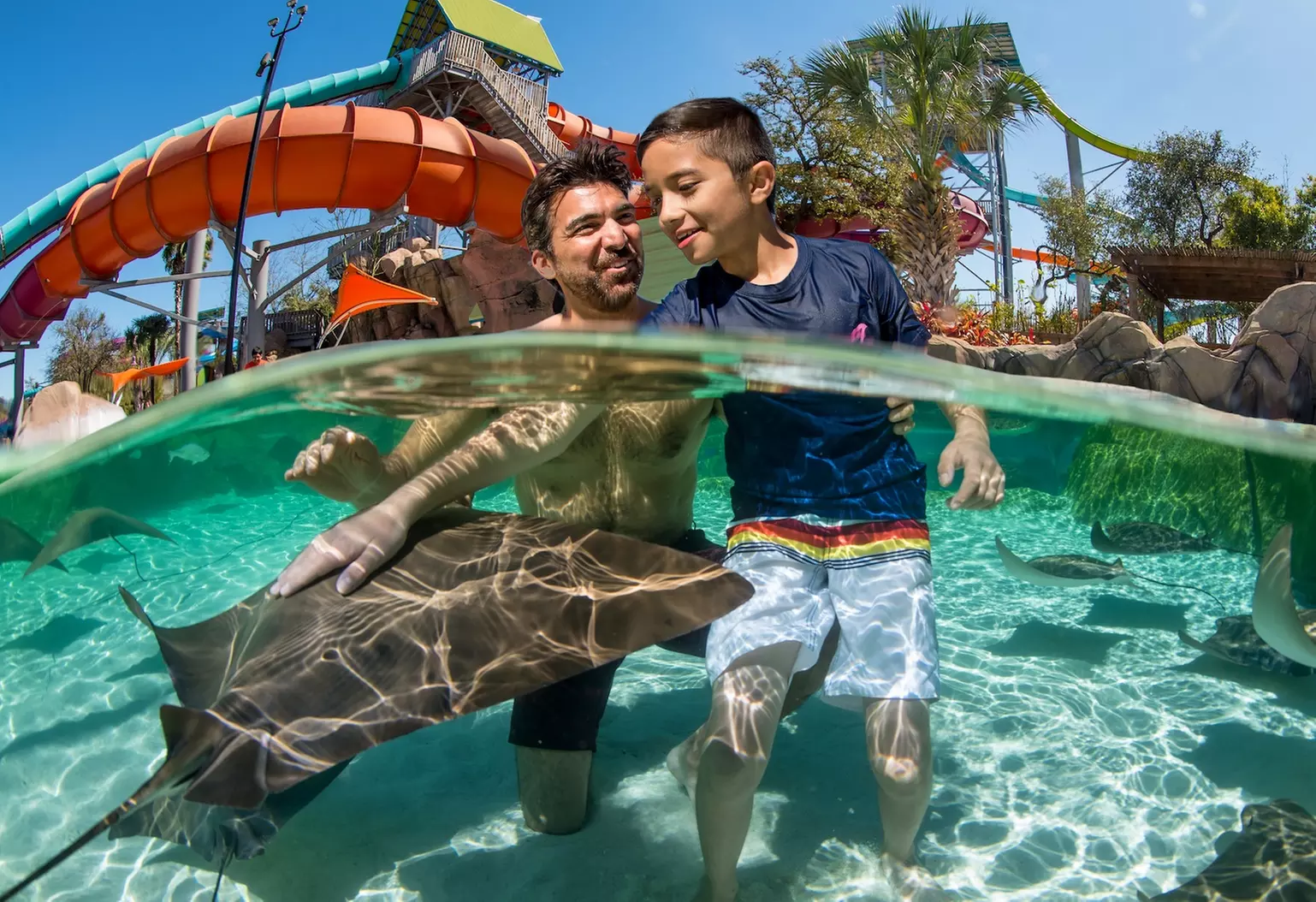 Admission to Aquatica San Antonio Up to 47% Off)