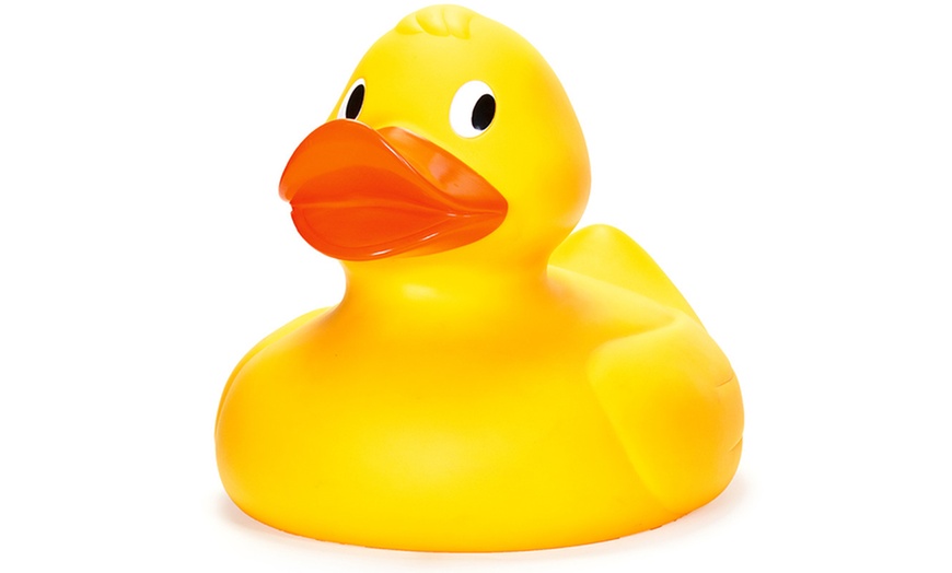 Image 3: Tobar Giant Duck