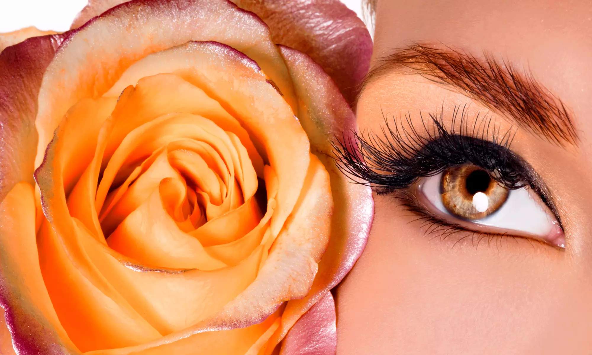Full Set of Eyelash Extensions for the Upper Lashes with Option for Touchup Appointment at EPO Beauty (Up to 54% Off) - Primary Image