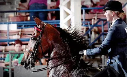 One, Three, or Five 30-Minute Private Horseback-Riding Lessons at Hillcrest Stables, LLC (Up to 57% Off) - Primary Image
