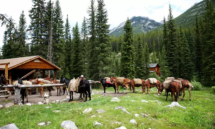 Two- or Three-Day Horseback Trips from Holiday on Horseback (Up to 40% Off) - Second Medium