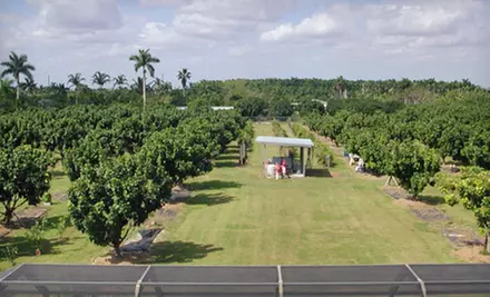 Farm Tour and Fruit Basket for One, Two, or Six from Fresh Gardens (Up to 53% Off) - Primary Image