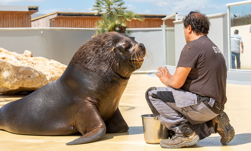 Image 11: Entrées adulte et enfant au choix au Zoo Refuge La Tanière 