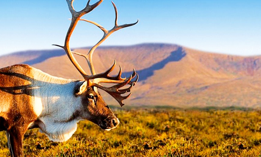 Image 5: Stay with Dinner in Cairngorms National Park