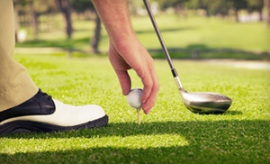 Up to 55% Off at Blackhawk Trace Golf Club