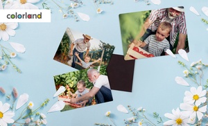 Personalizowane fotomagnesy na lodówkę ze zdjęciem – różne formaty Personalizowane fotomagnesy na lodówkę ze zdjęciem – różne formaty