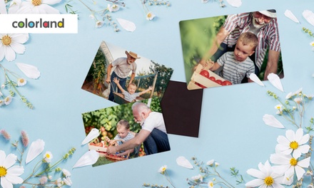 Fotomagnesy 6.5 x 6.5 cm – 6 szt. - Colorland