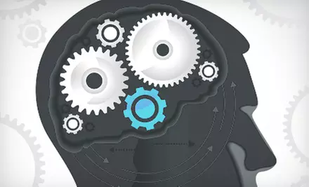 Three- or Six-Month Brain Fitness Pro Subscription from MindSparke (Up to US$119.70 Value) - Primary Image
