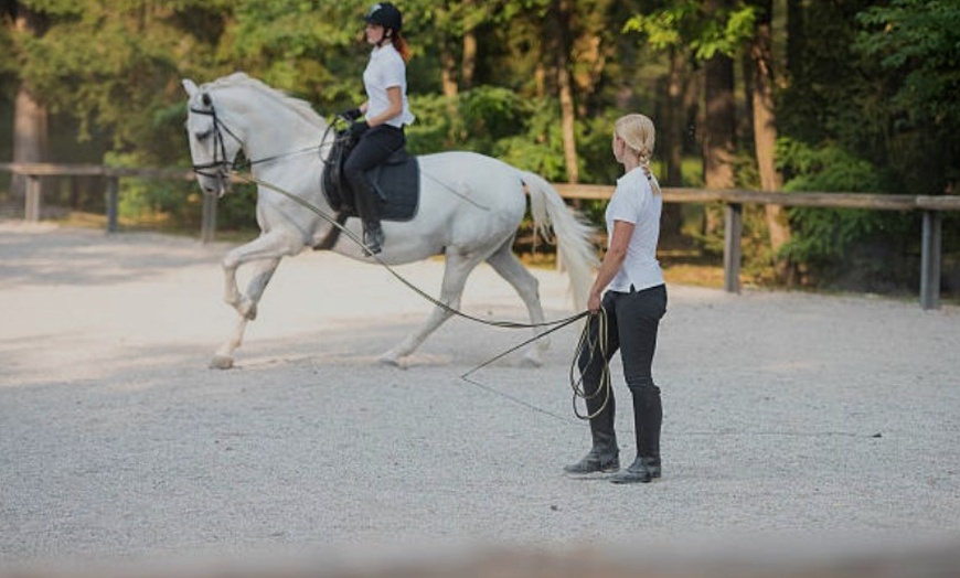 Image 1: ✦ 3 o 5 clases de hípica en La Finca Pony Club